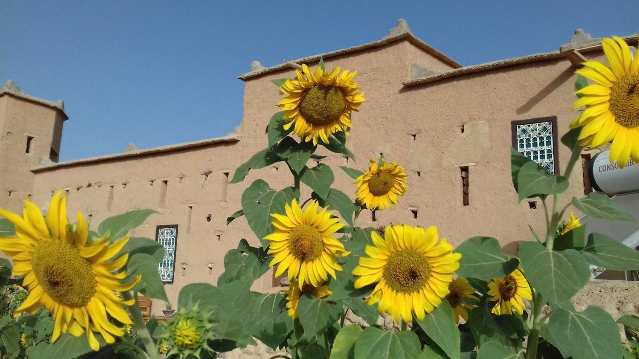 Kasbah Izoran Hotel Midelt Kültér fotó