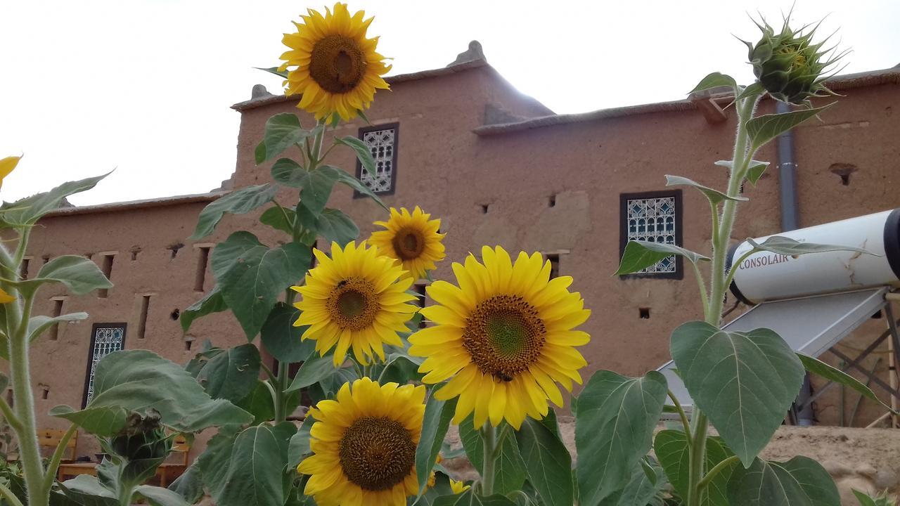 Kasbah Izoran Hotel Midelt Kültér fotó